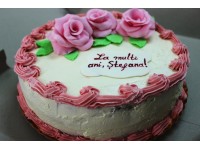 Tort Stefana 